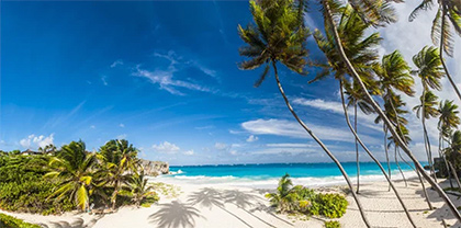 The Sandpiper Barbados